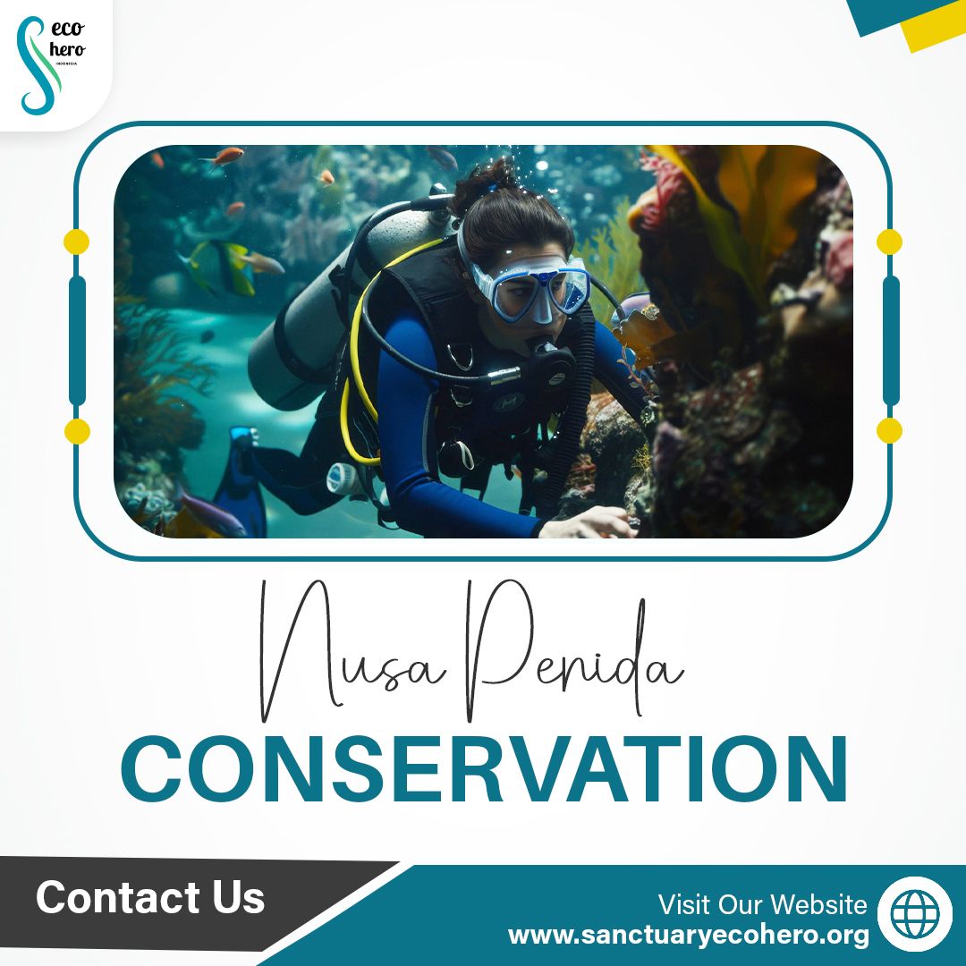 Nusa Penida Conservation