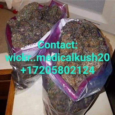 TOP QUALITY MEDICAL MEDS AVAILABLE