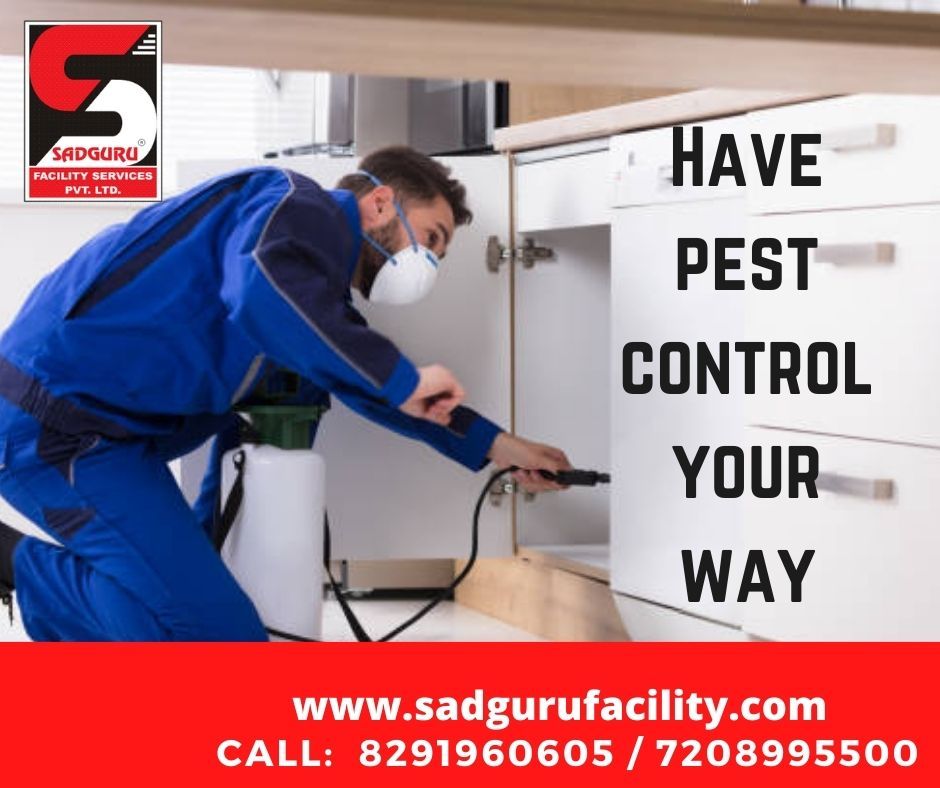 Pest Control Services in Mumbai – Sadguru Pest Control