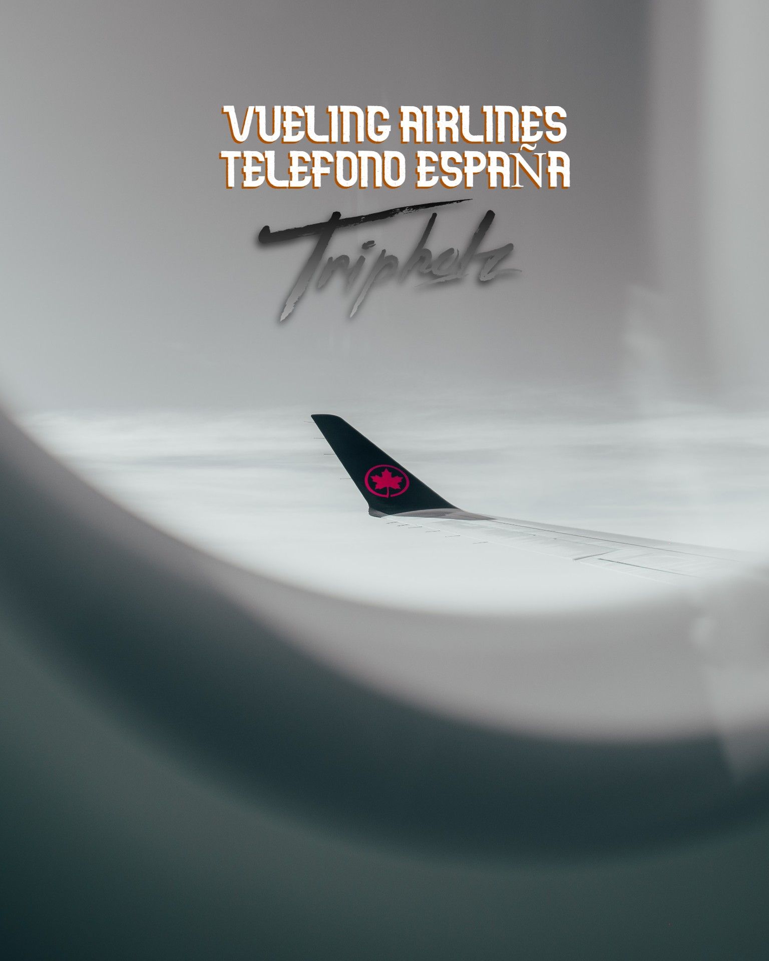 Vueling Airlines Teléfono Español | Tripohlz | 2023