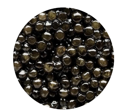 RUSSIAN OSETRA CAVIAR