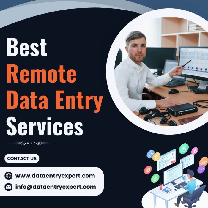 Best Remote Data Entry Services in India