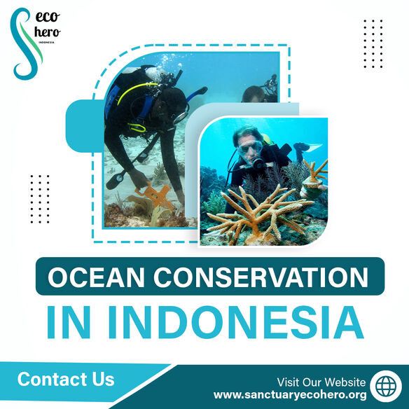Ocean Conservation in Indonesia