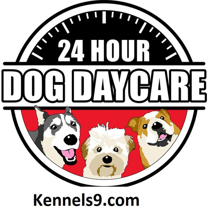 Kennels9 Offering Dog Boarding Services In ECIL