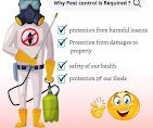Best Ant Pest Control Services in Kurnool