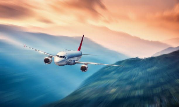delta airlines baggage policy