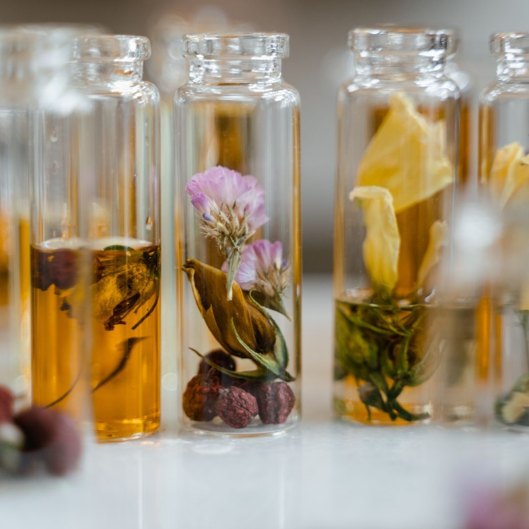 Discovering the Best Chypre Fragrances and the Value of a Budget Chypre