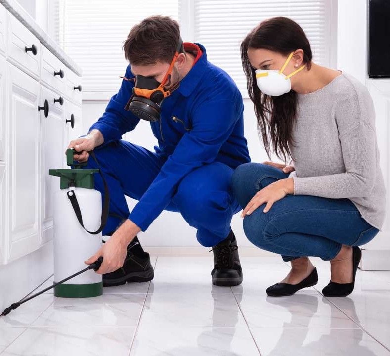 Lily Pest: Ottawa's Choice for Home Protection Plus Services
