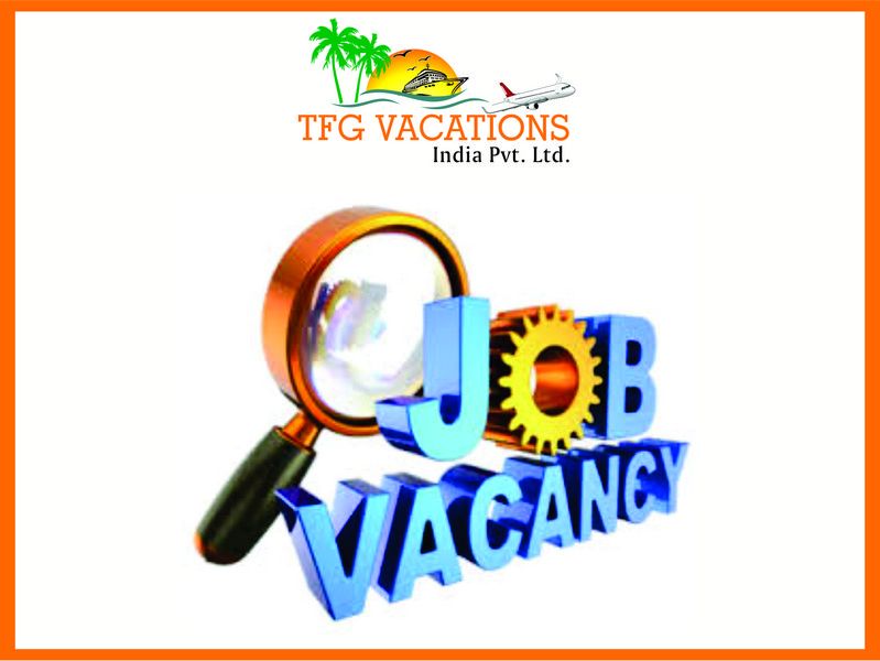 Internet Marketing Jobs for Fresher/Working in Tourism Company 