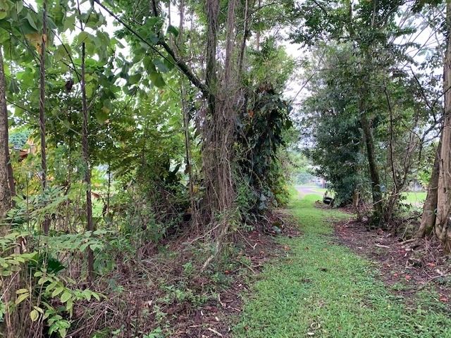 Professional Cranes in Hawaii Solutions You Can Trust - Arborist Services 