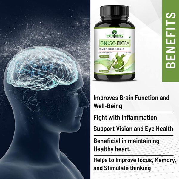 Best Ginkgo Biloba to Improve Brain Function and Learning Ability