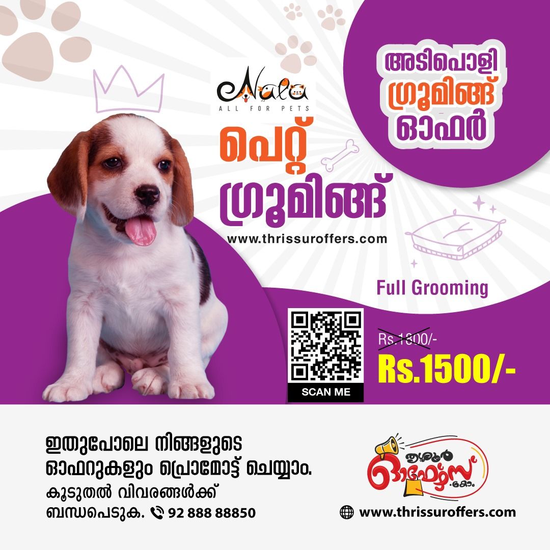 Pet Grooming Services in Thrissur