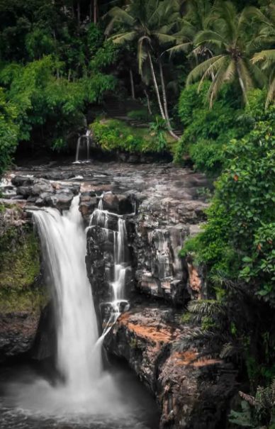 Kerala Tour Packages – Explore God’s Own Country with Travel Hope