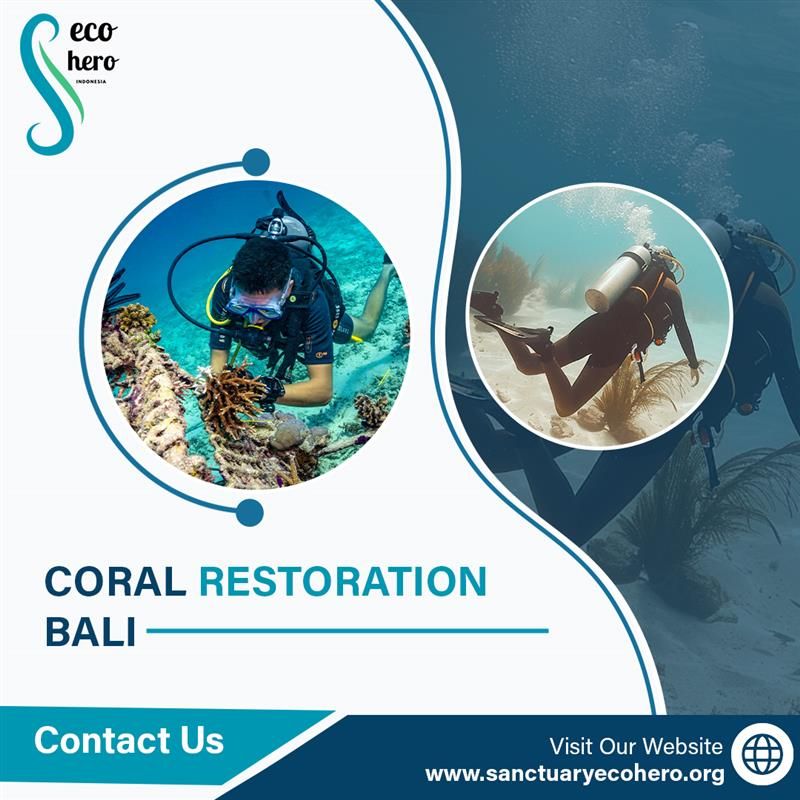 Coral Restoration Bali
