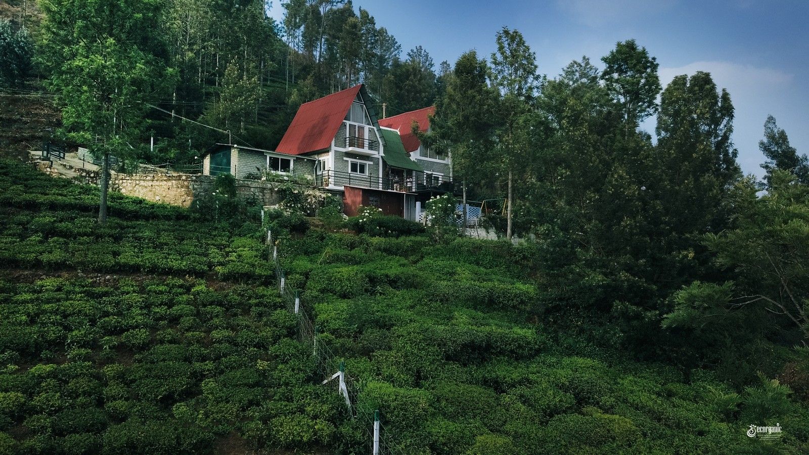 Cottages in ooty