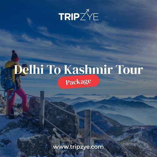  Delhi To Kashmir Tour Packages For Couple