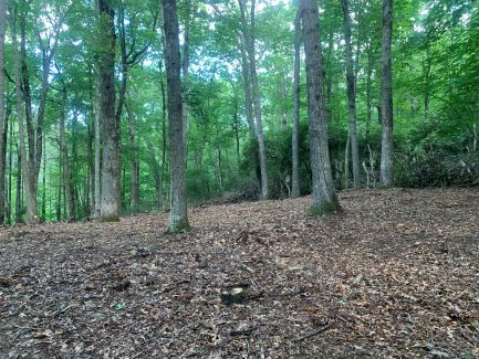 Real Estate Land & Mountain view property for sale in North Carolina