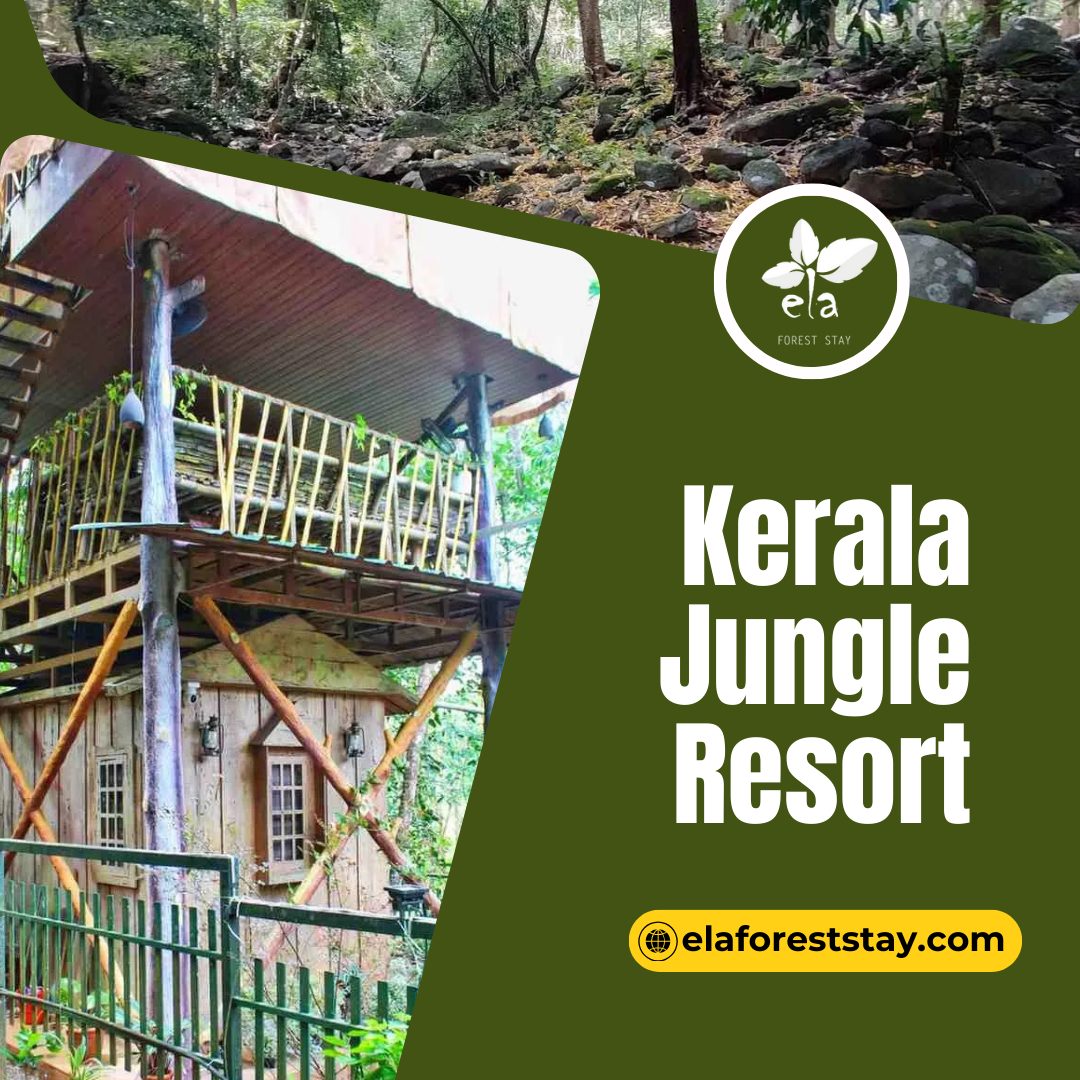 What amenities can I expect at a Kerala jungle resort?