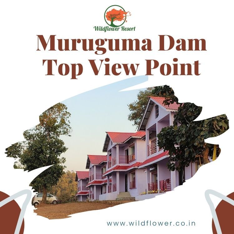 muruguma dam top view point