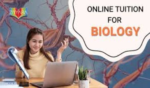 Biology Tuition for Class 12 – Expert Guidance to Master Every Concept and Boost Your Scores