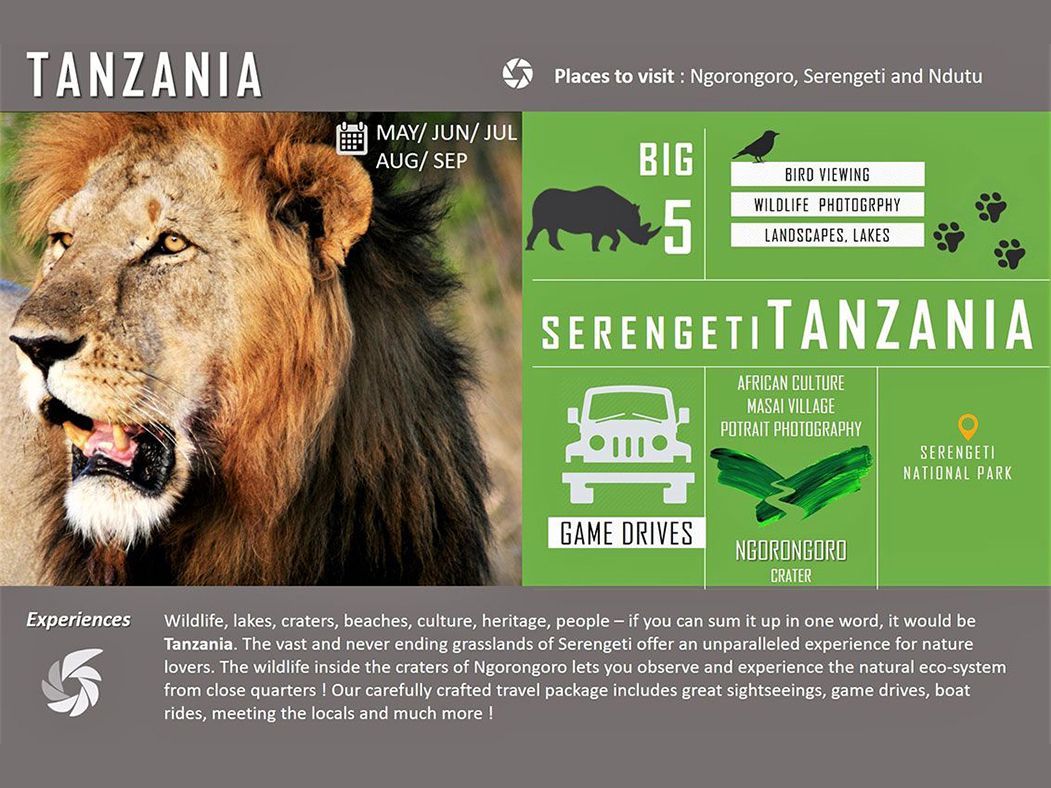 Tanzania Wildlife Safari and Photography Tour in 2019