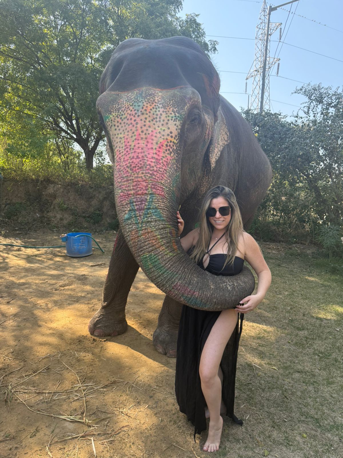 Discover the Majestic Elephants of Jaipur: A Journey