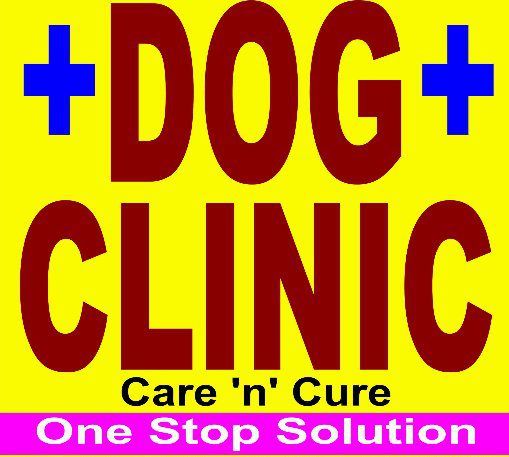 Dog Clinic In Pratap Nagar, Jaipur