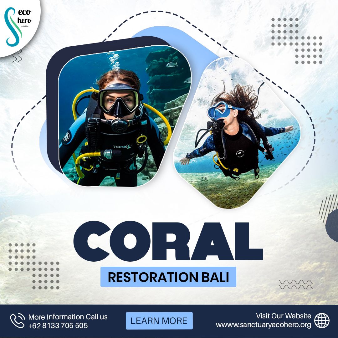 Coral Restoration Bali