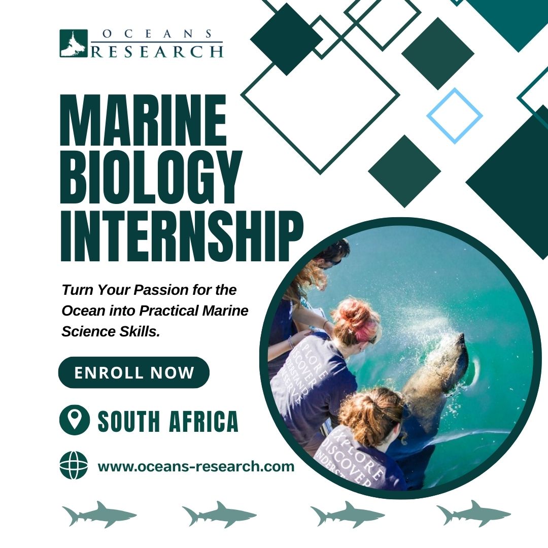 Marine Biology Internship