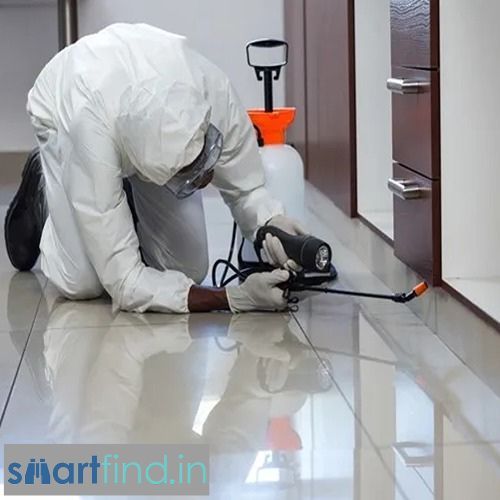 Keep pests at bay with our top-notch Pest Control Services in Mumbai!