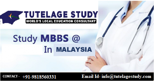 Overseas Education Consultants Tutelage Study