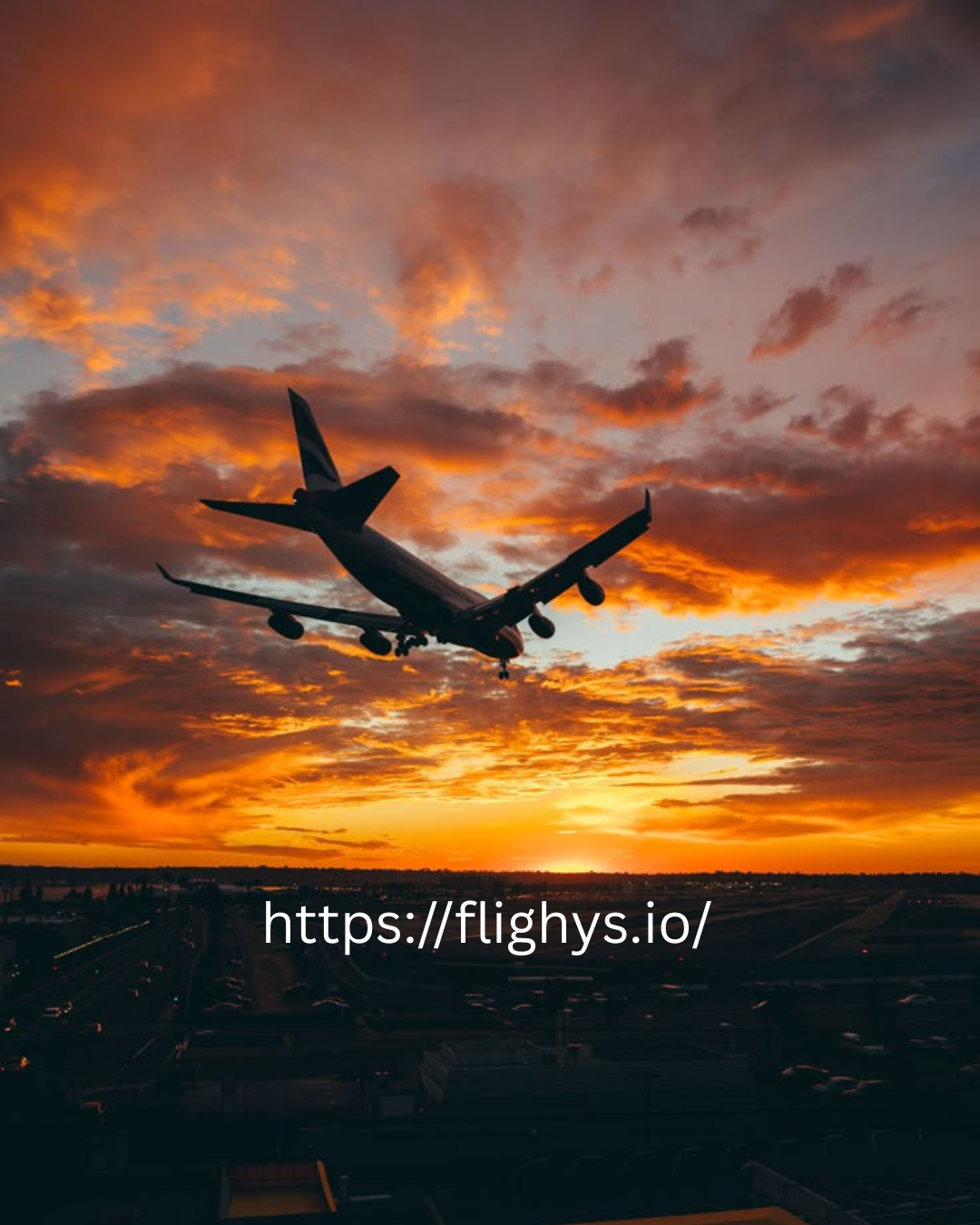 Find Your travel partner on Flighys!
