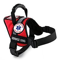 Shop For Working Dog Equipment | All Access Canine