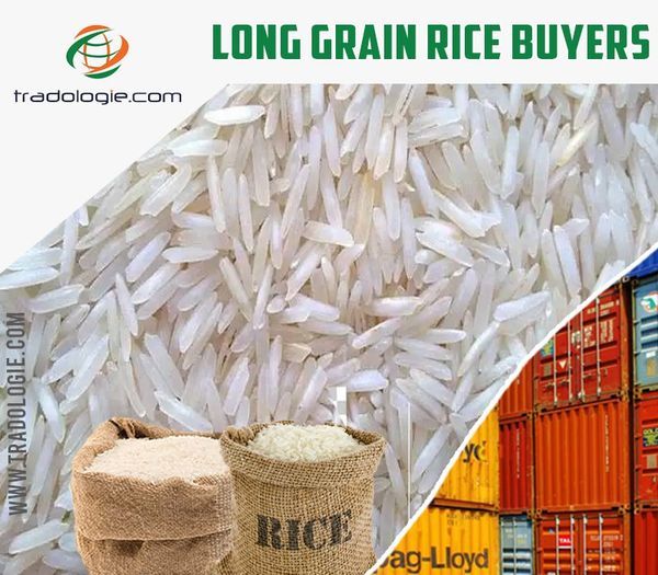 Buy Long Grain Rice Online - Long Grain Rice Suppliers & Buyers