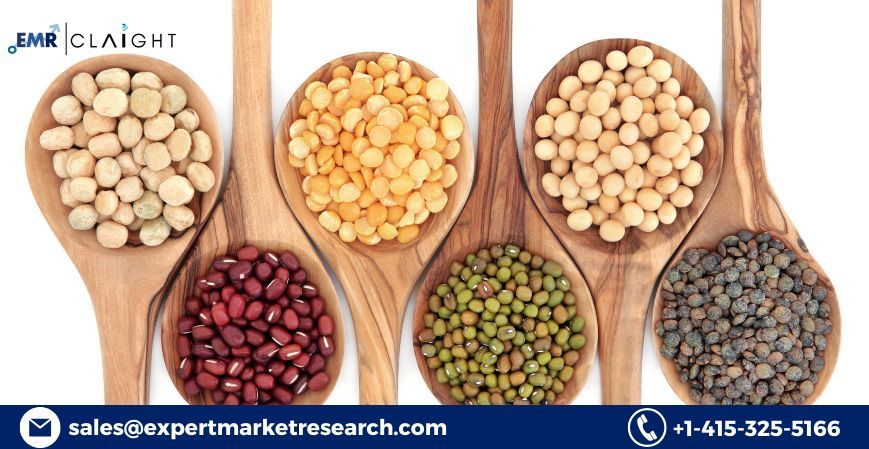 Pulses Market Size, Trends, Growth & Forecast 2025–2034 | Industry Analysis