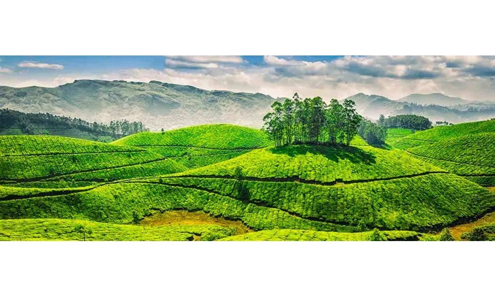 Book Ooty Kodaikanal Tour Packages from Bangalore