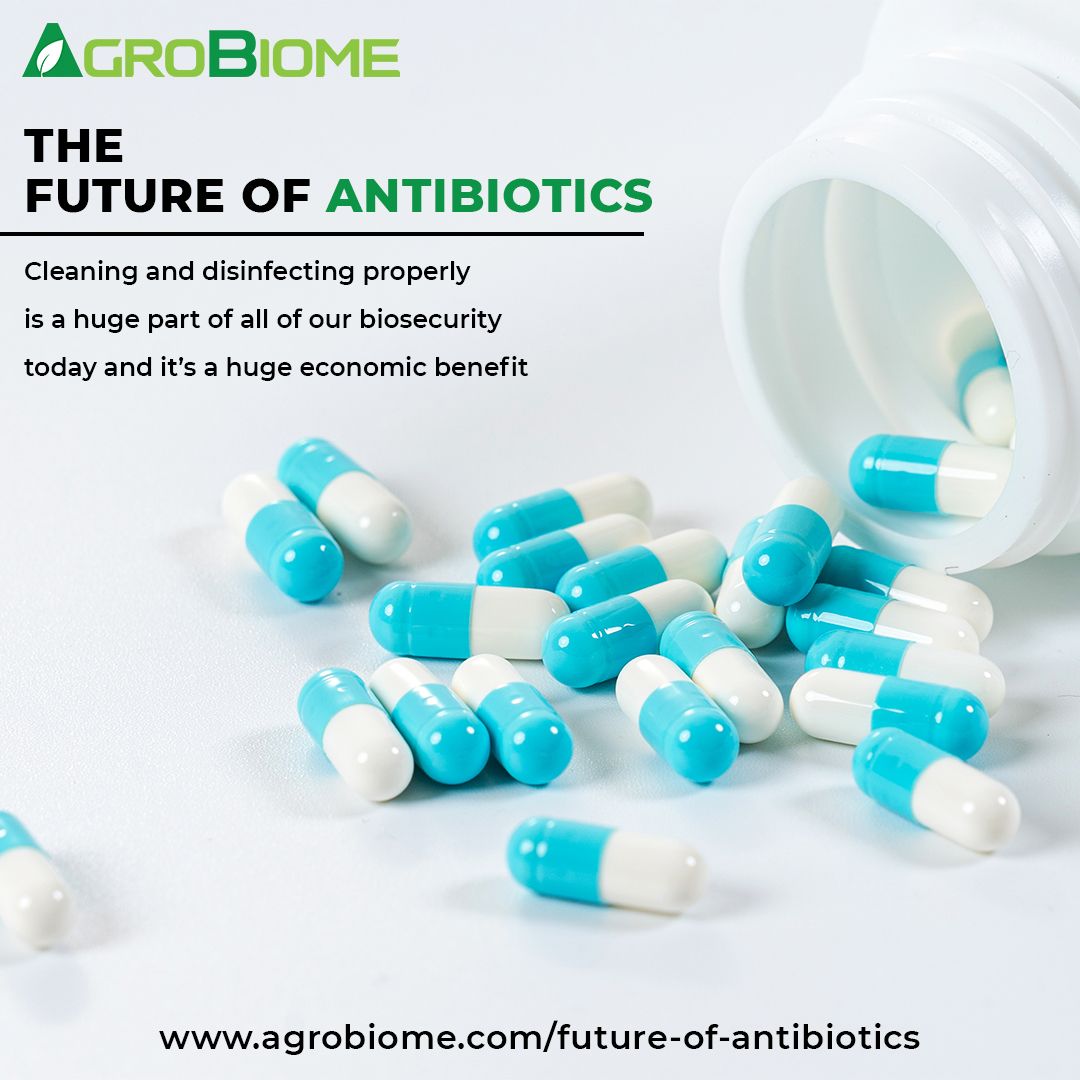 Learn About The Future of Antibiotics Here - Agrobiome