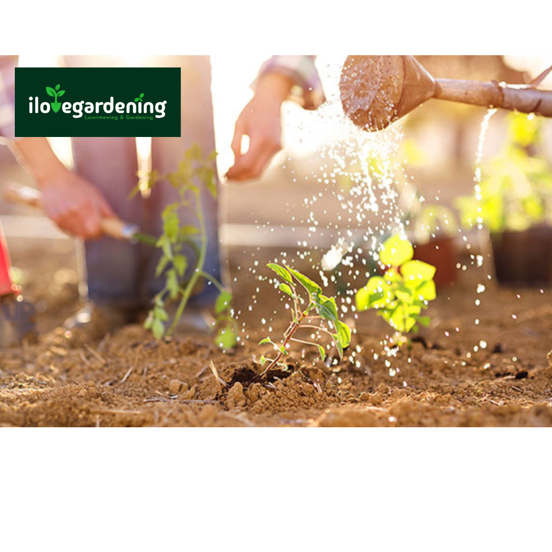 Lawn Mowing Maintenance Melbourne - I love gardening