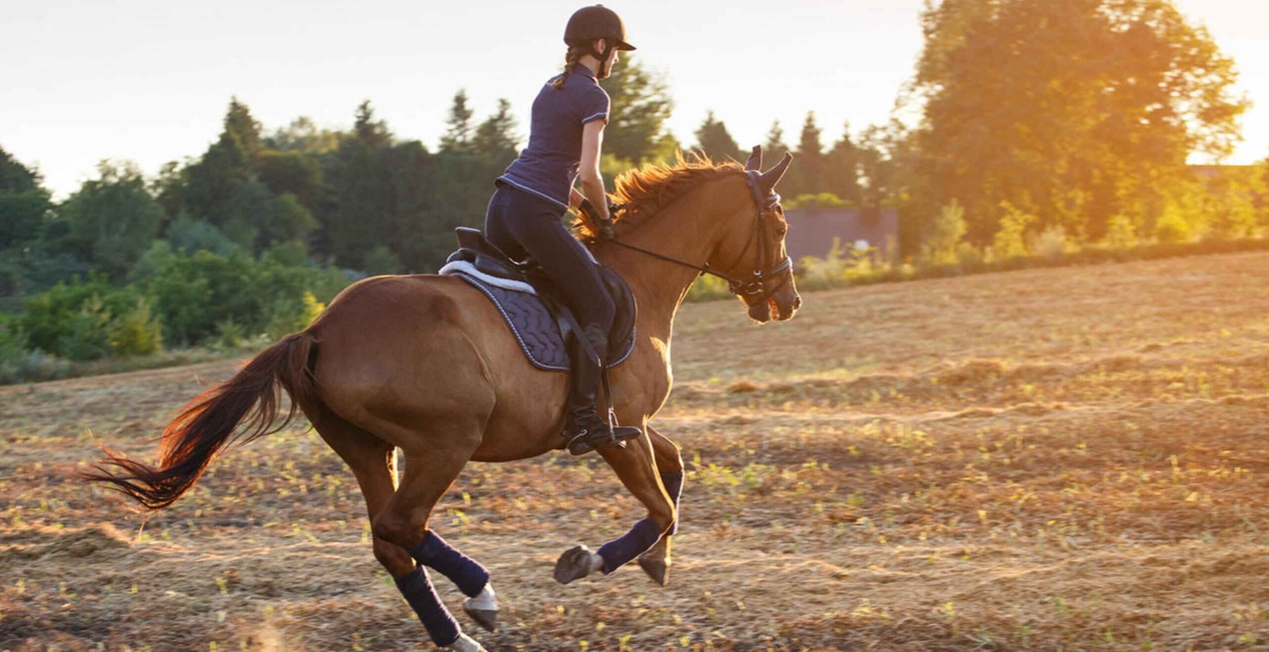 Best Horse Riding Experiences and Lessons Around The World