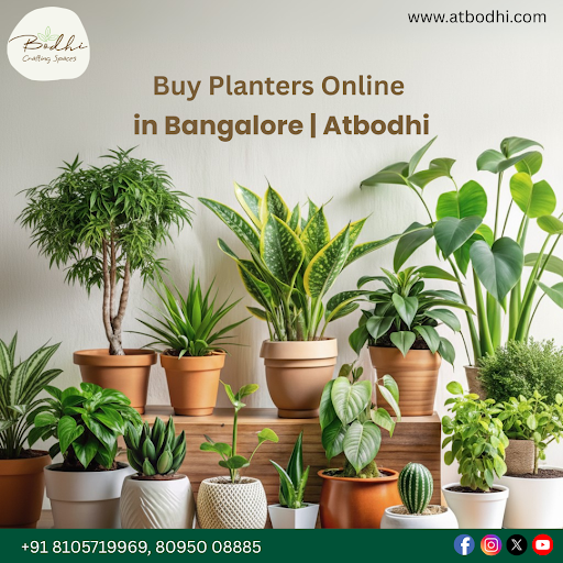 Cactus Planters and Home Décor in Bangalore – Atbodhi