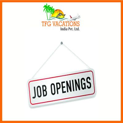 Part Time Work With TFG A Leading Tour & Travel Company