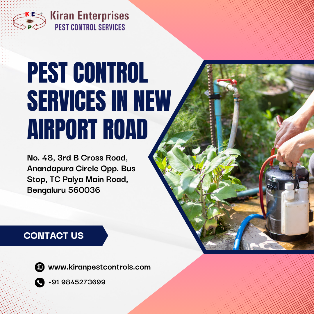 Pest Control Services in New Airport Road | Safe & Effective Solutions