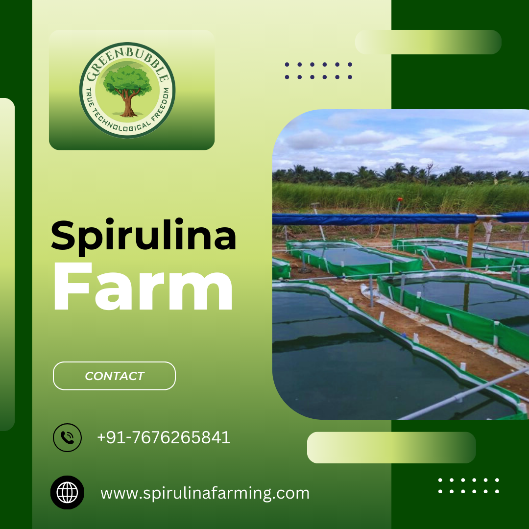 Green Bubble Algal Works: Leading Spirulina Farming Expert