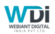SEO Services in Delhi NCR for Improved Website Authority