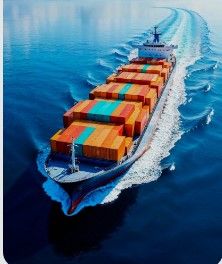 International Freight Forwarder – Your Global Shipping Partner