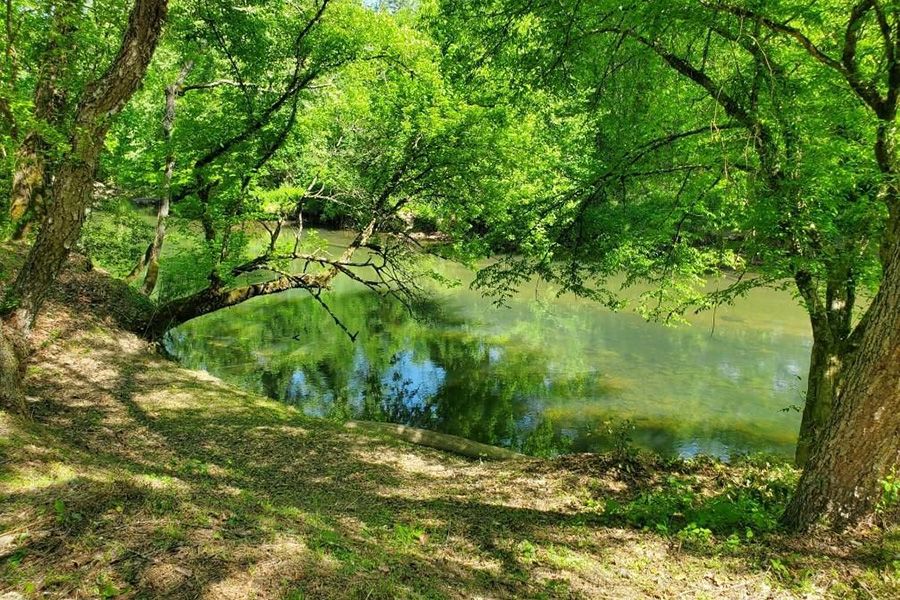 Homes and Land Near You – Carolina’s Top Real Estate Options