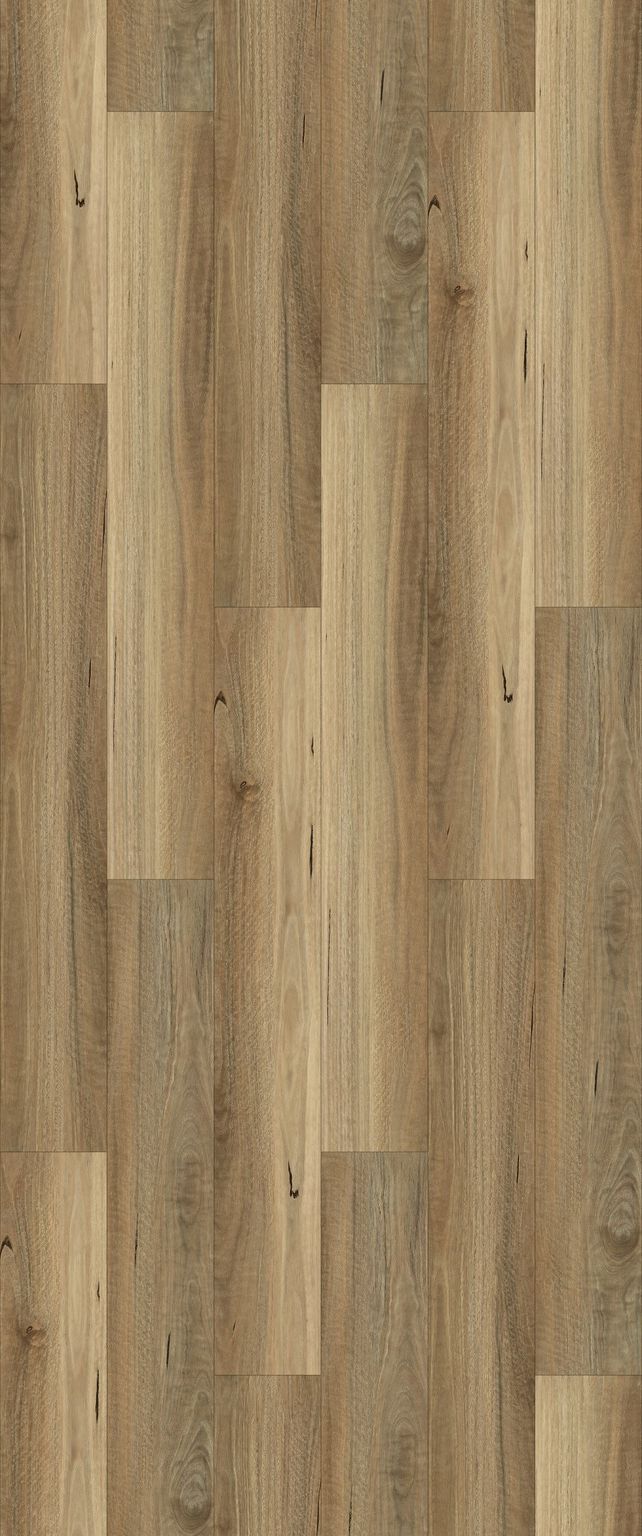 Upgrade Your Floors with Stylish, Budget-Friendly Spotted Gum Hybrid!