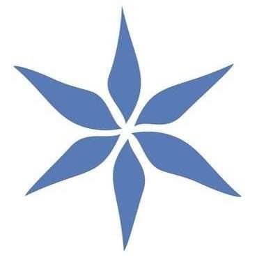 Phyto-C Skin Care (Phytoceuticals Skin Care)