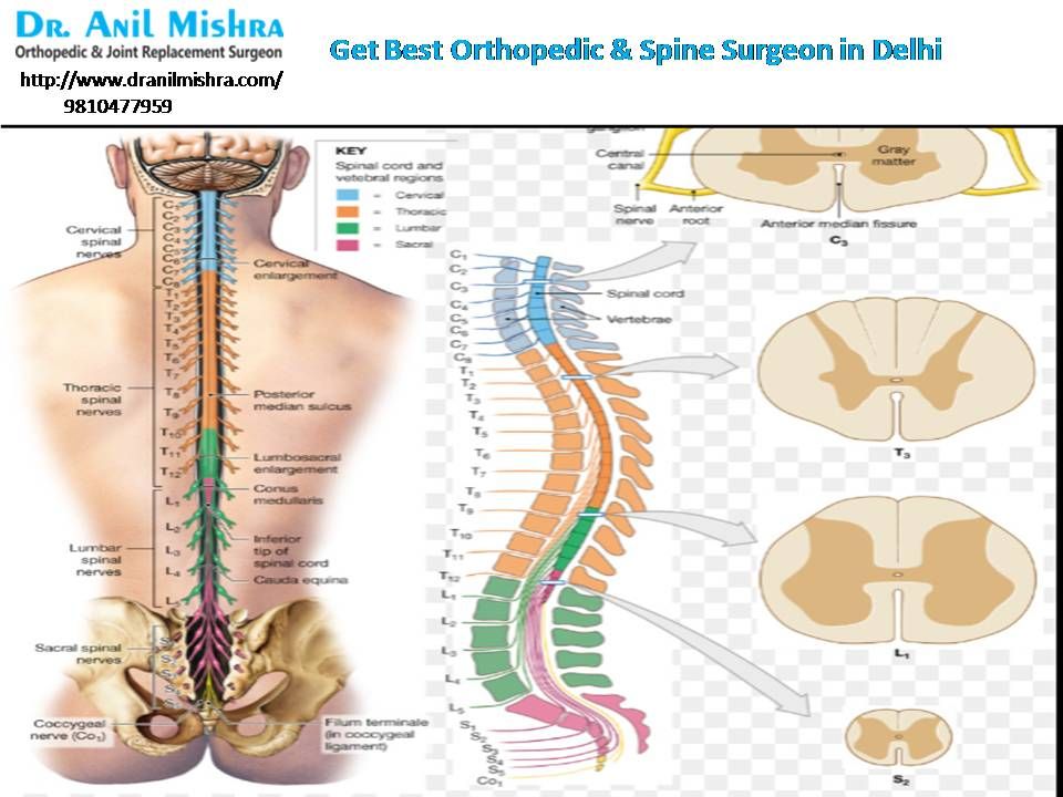 Consult with Best Spine Surgeon Near me