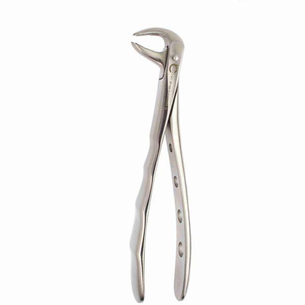 Lower Molar Forcep - Extraction Forceps - Dental Instruments Online